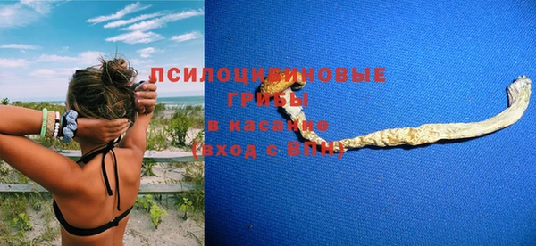 твердый Алексеевка
