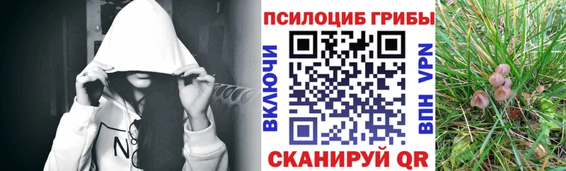 ОМГ ОМГ рабочий сайт  Палласовка  Галлюциногенные грибы мухоморы 